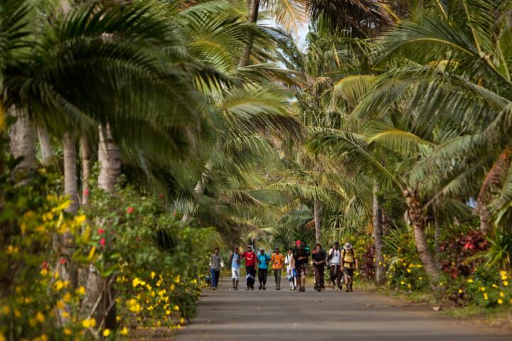 Mauritius - Intaward expedition, photo: Rozle Bregar