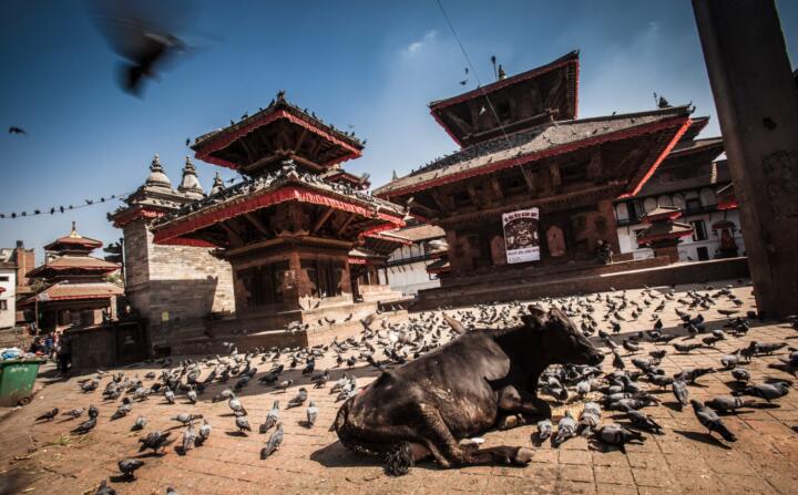 Katmandu, Zlati Nepal – MEPI, foto: Rožle Bregar
