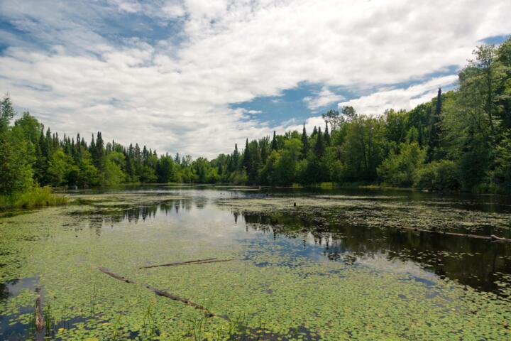 Wisconsin – MEPI Ice Age trail, foto: Rožle Bregar